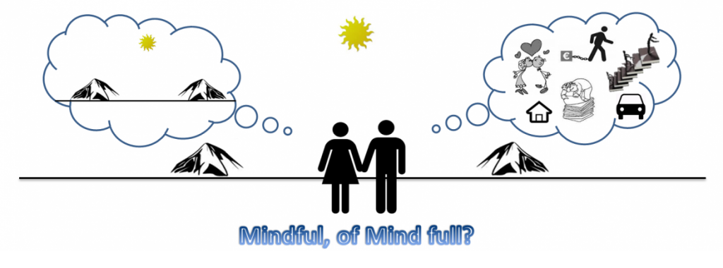 Mindfulness 1 op 1 sessies